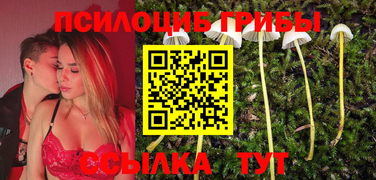 Псилоцибиновые грибы прущие грибы Вольск